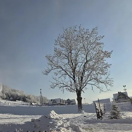 Goscinne Pod Grapa Homestay szállás *